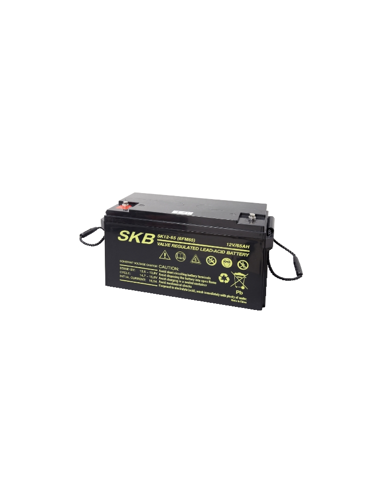 BATTERIA AL PIOMBO SKB RICARICABILE SK12 - 55 6FM55