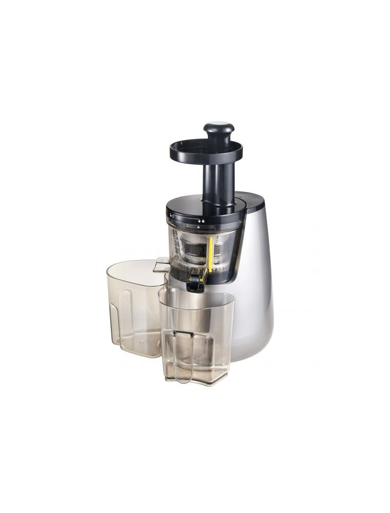 JUICE EXTRACTOR PROFESSIONAL 250W