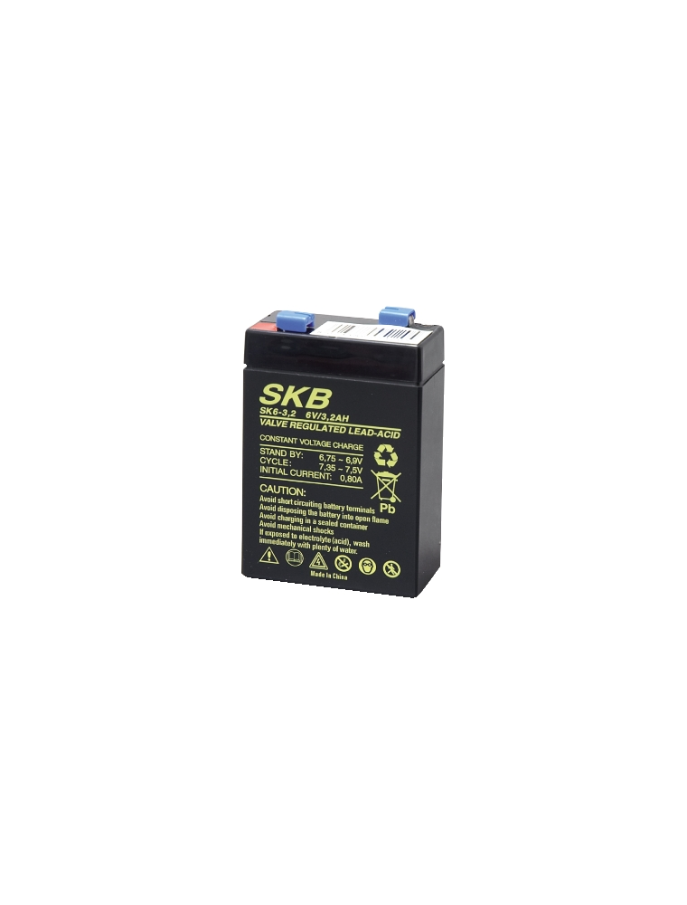 LEAD BATTERY CHARGERS SKB SK6 - 3.2