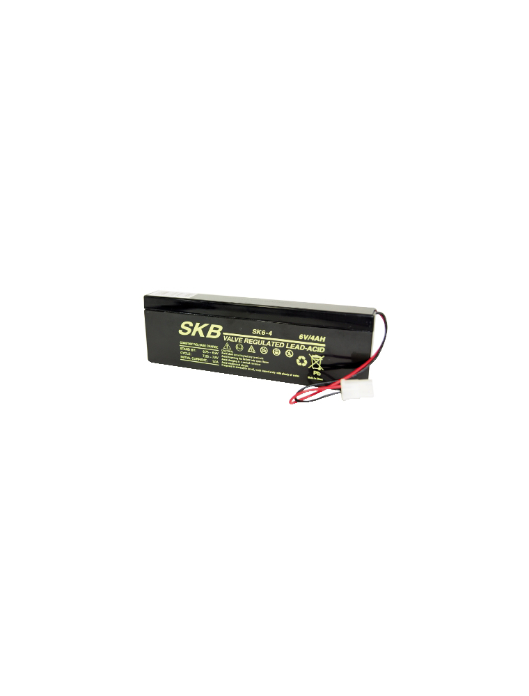 LEAD BATTERY CHARGERS SKB SKB SK6 - 4.0 Connector