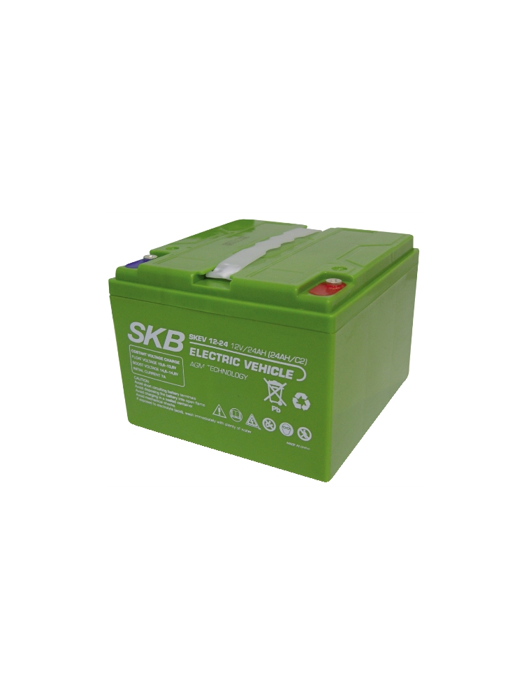 LEAD BATTERY 12V 24AH SKB SKEV12-24