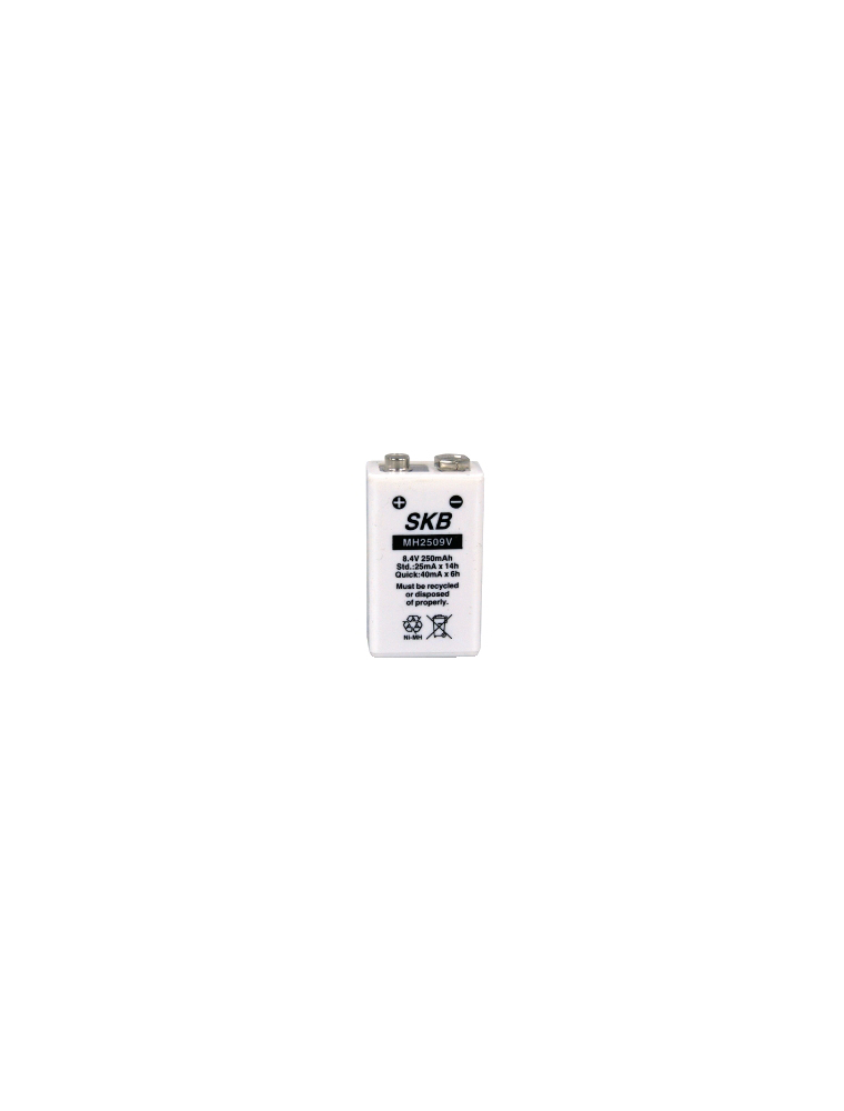 BATTERIA RICARICABILE SKB AL NI-MH PRISMATICA - 9V