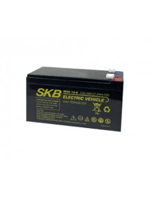 LEAD BATTERY CHARGERS FOR CYCLIC SKB KB SKEV12-9.0
