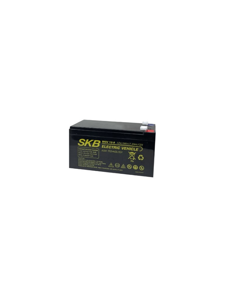 LEAD BATTERY CHARGERS FOR CYCLIC SKB KB SKEV12-9.0