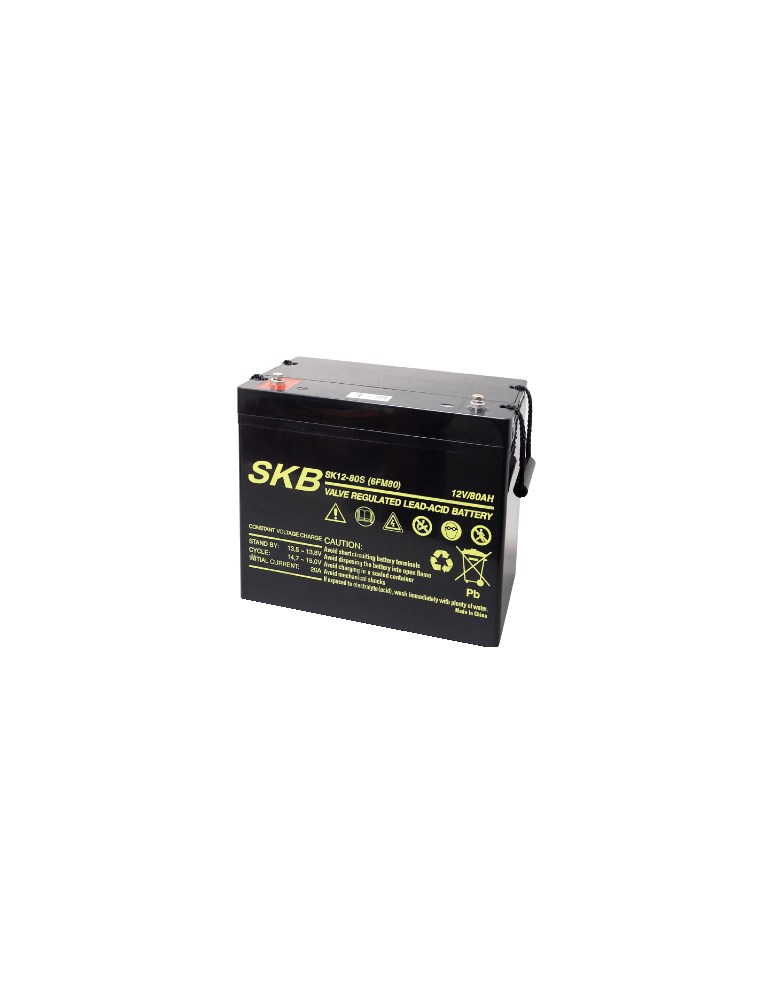 LEAD BATTERY CHARGERS SKB SK12 - 80S 6FM80S
