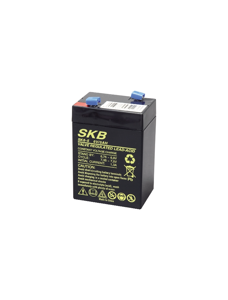 LEAD BATTERY CHARGERS SKB SK6 - 5,0