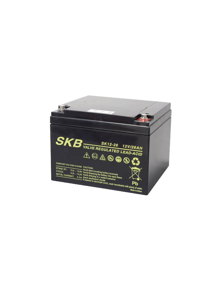 LEAD BATTERY CHARGERS SKB SK12 - 26
