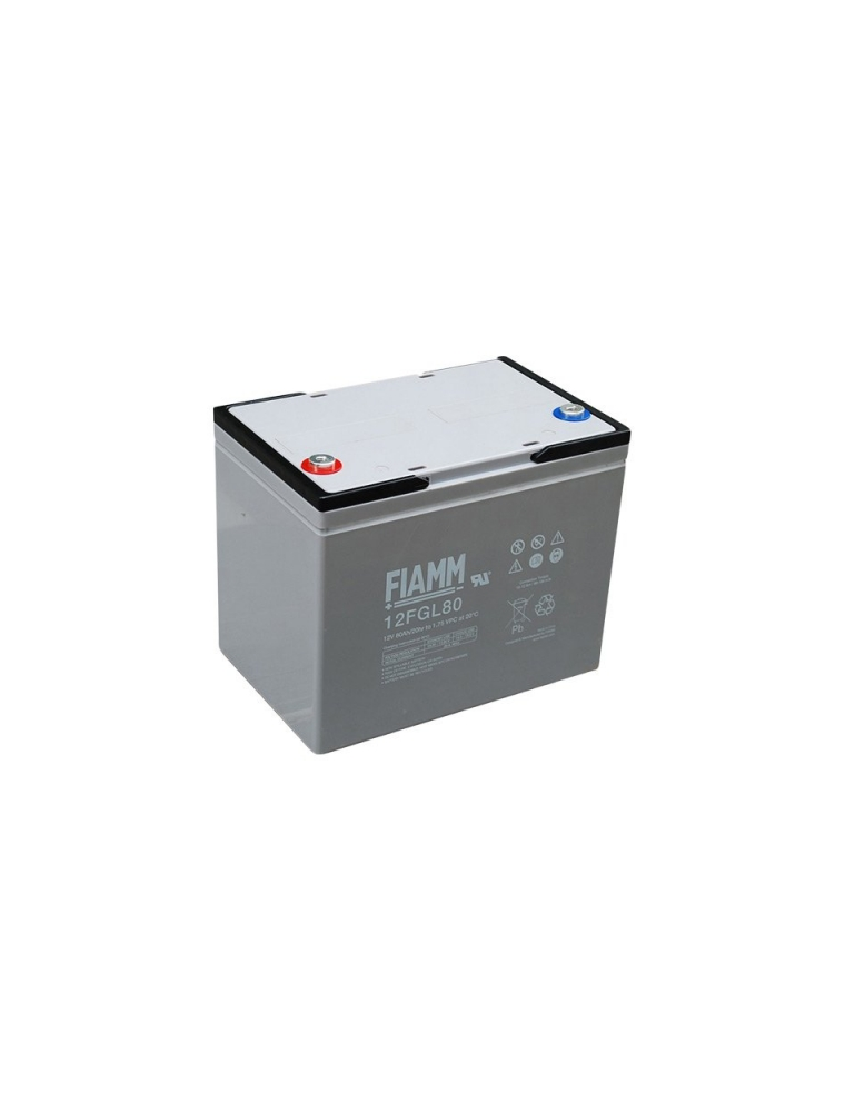 LEAD BATTERY CHARGERS FIAMM 12FGL80 12v 80 amp